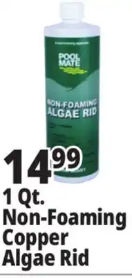 Ocean State Job Lot 1 Qt. Non-Foaming Copper Algae Rid offer