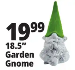 Ocean State Job Lot 18.5 Garden Gnome offer