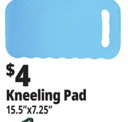 Ocean State Job Lot Kneeling Pad offer