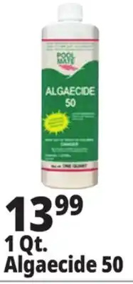 Ocean State Job Lot 1 Qt. Algaecide 50 offer