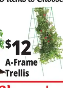 Ocean State Job Lot Plant Support A-Frame Trellis offer
