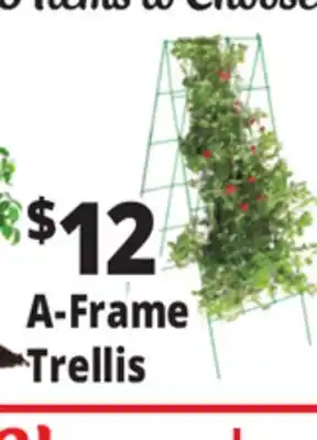 Ocean State Job Lot Plant Support A-Frame Trellis offer