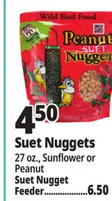 Ocean State Job Lot Suet Nuggets offer