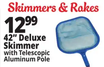 Ocean State Job Lot Skimmers & Rakes 42 Deluxe Skimmer offer