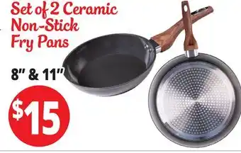 Ocean State Job Lot Set of 2 Ceramic Non-Stick Fry Pans offer