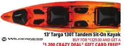Ocean State Job Lot WILDERNESS TRAIL 13' Targa 130T Tandem Sit-On Kayak offer