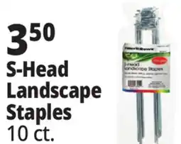 Ocean State Job Lot S-Head Landscape Staples offer