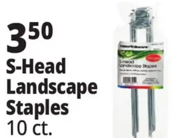 Ocean State Job Lot S-Head Landscape Staples offer