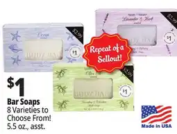 Ocean State Job Lot Bar Soaps offer