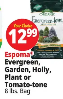 Ocean State Job Lot Evergreen, Garden, Holly, Plant or Tomato-tone offer