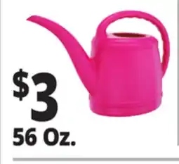 Ocean State Job Lot 56 Oz. Watering Cans offer