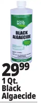 Ocean State Job Lot 1 Qt. Black Algaecide offer