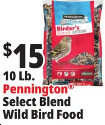 Ocean State Job Lot 10 Lb. Select Blend Wild Bird Food offer