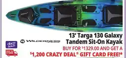 Ocean State Job Lot WILDERNESS 13' Targa 130 Galaxy Tandem Sit-On Kayak offer