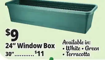 Ocean State Job Lot 24 Window Box offer