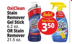 Ocean State Job Lot Stain Remover Gel Stick 6.2 oz OR Stain Remover 21.5 oz offer