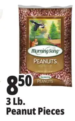 Ocean State Job Lot 3 Lb. Peanut Pieces offer