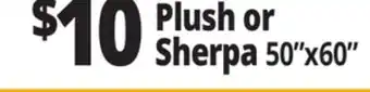Ocean State Job Lot Plush or Sherpa offer