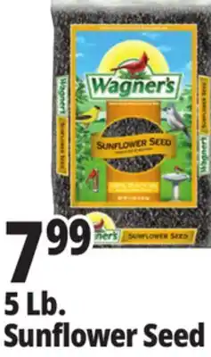 Ocean State Job Lot Wagner's 5 Lb. Sunflower Seed offer