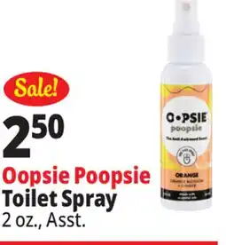 Ocean State Job Lot Toilet Spray offer