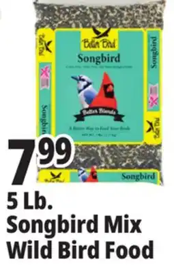 Ocean State Job Lot 5 Lb. Songbird Mix Wild Bird Food offer