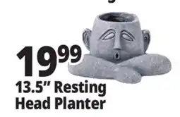 Ocean State Job Lot 13.5 Resting Head Planter offer