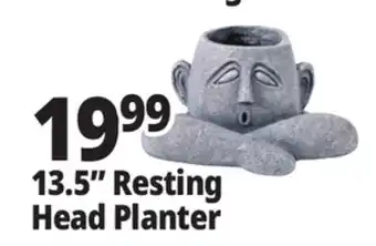 Ocean State Job Lot 13.5 Resting Head Planter offer