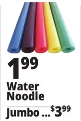 Ocean State Job Lot Water Noodle offer