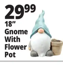 Ocean State Job Lot 18 Gnome With Flower Pot offer