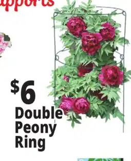 Ocean State Job Lot Double Peony Ring offer