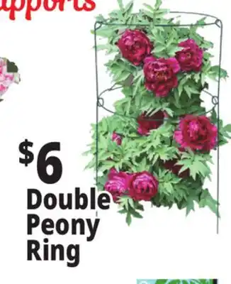 Ocean State Job Lot Double Peony Ring offer
