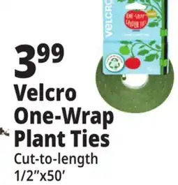Ocean State Job Lot Velcro One-Wrap Plant Ties offer