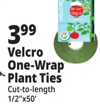 Ocean State Job Lot Velcro One-Wrap Plant Ties offer