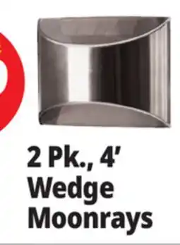 Ocean State Job Lot 2 Pk., 4' Wedge Moonrays offer