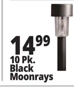 Ocean State Job Lot 10 Pk. Black Moonrays offer