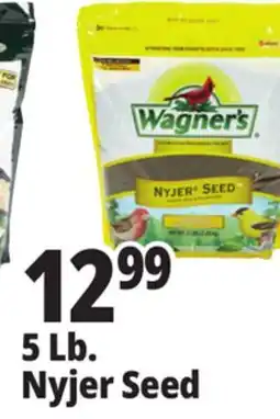 Ocean State Job Lot Seed offer