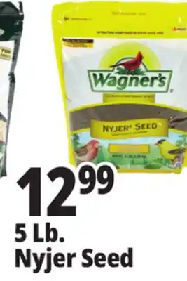 Ocean State Job Lot Seed offer