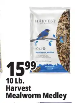 Ocean State Job Lot Harvest Mealworm Medley offer