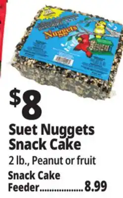 Ocean State Job Lot Suet Nuggets Snack Cake offer
