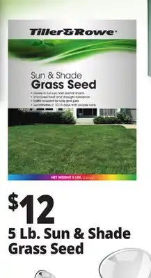 Ocean State Job Lot Tiller & Rowe 5 Lb. Sun & Shade Grass Seed offer