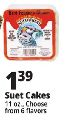 Ocean State Job Lot Suet Cakes offer