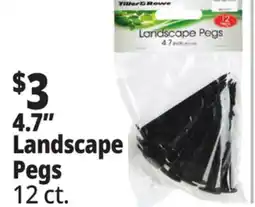 Ocean State Job Lot 4.7 Landscape Pegs offer