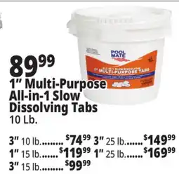 Ocean State Job Lot 1 Multi-Purpose All-in-1 Slow Dissolving Tabs offer