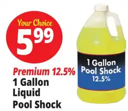 Ocean State Job Lot Premium 12.5% 1 Gallon Liquid Pool Shock offer