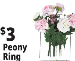 Ocean State Job Lot Peony Ring offer