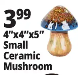 Ocean State Job Lot Small Ceramic Mushroom offer