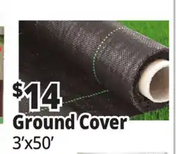 Ocean State Job Lot Ground Cover offer
