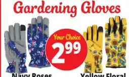 Ocean State Job Lot Gardening Gloves offer