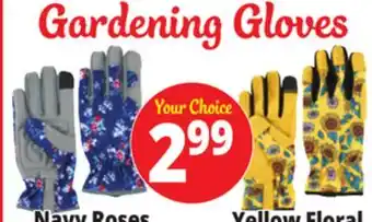 Ocean State Job Lot Gardening Gloves offer