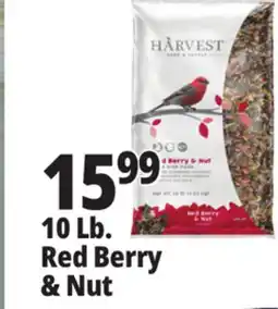 Ocean State Job Lot 10 lb Red Berry & Nut offer